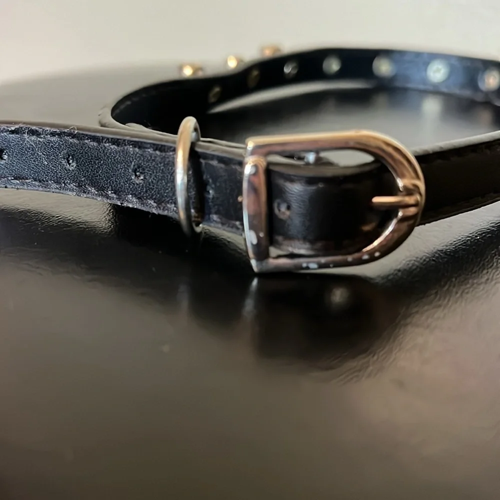 Spike Dog Collar, Black/Silver